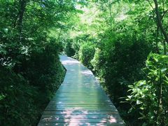 -上海佘山国家森林公园西佘山园