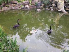-西双版纳洲际度假酒店-海鲜傣味烧烤·侬香全日制餐厅
