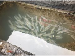 -海上驿站渔家菜馆