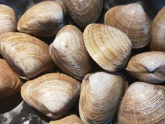 -丹东特色烤肉(南光三部店)