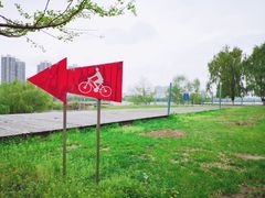 -长白岛森林公园