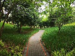 -徐家汇源景区-衡山公园