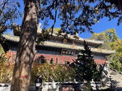 -潭柘寺景区