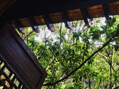 -鱼桥巷·美学川菜