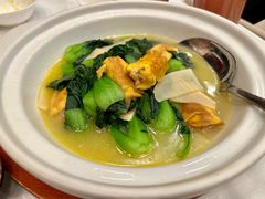 -吉士·星座 JISHI CONSTELLATION(新天地店)