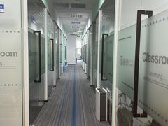 -菠萝国际教育专注Alevel·IGCSE·IB·AP·托福雅思培训辅导(静安校区)