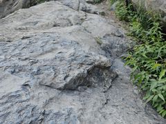-北京鹫峰国家森林公园