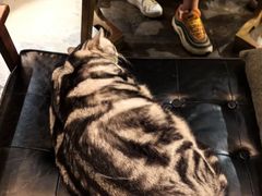 -咖法森林·咖啡  酒吧(天河店)