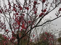 -蜀冈西峰生态公园