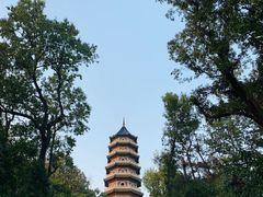 -灵谷景区