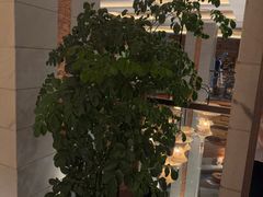 -浅深Cheersum(曹杨店)