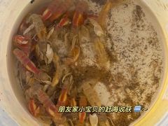 -东戴河风景区