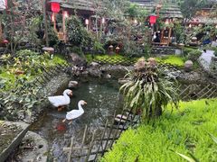 -青城甲(青城山店)