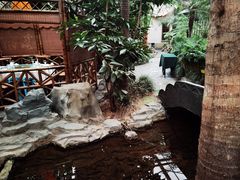 -世外桃源农庄·德清土菜(兴康南路店)