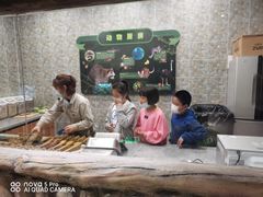 -MR.ZOO小小动物元室内动物园(沈阳沈河盛京中心)