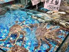 -蚝得喜海鲜(东城店)