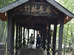 -陶祖圣境风景区