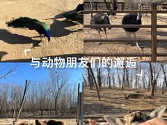 -秦皇岛野生动物园