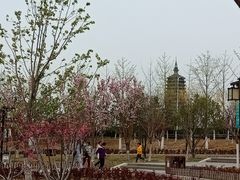 -西海子公园