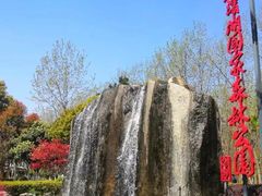 -合肥滨湖国家森林公园