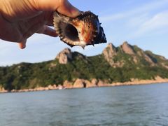 -大京沙滩