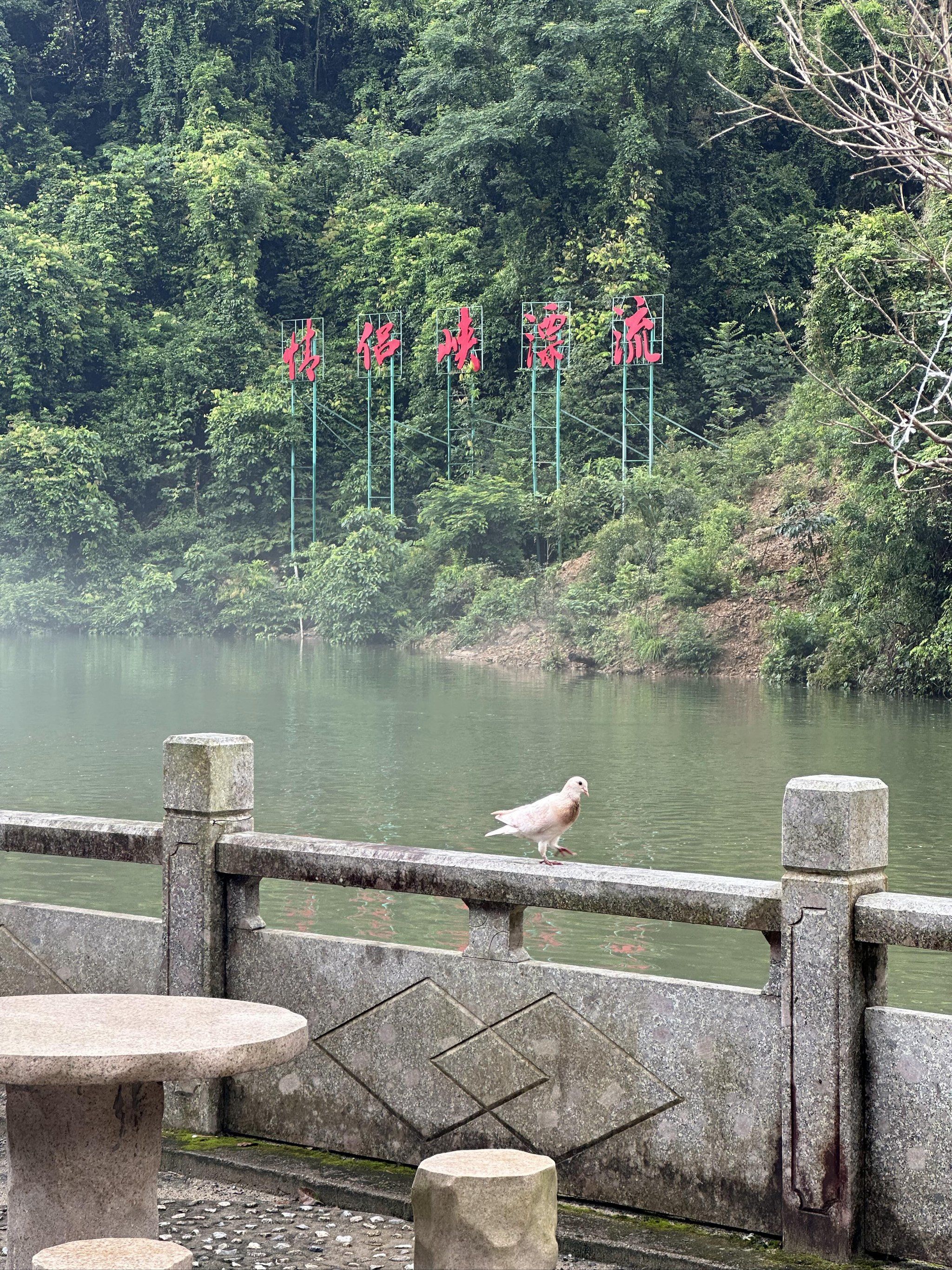 景区的主要景点丰富多彩,竹筏漂流尤为引人