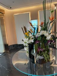 -蘭FACE·海菲秀飞顿Med SPA