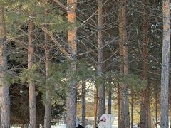 -北极村旅游风景区