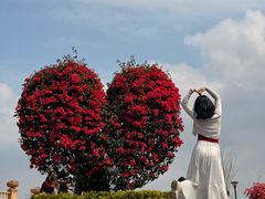 -东莞植物园