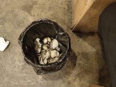 -大连路6号好酒不见