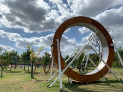 -黄海国家森林公园