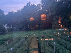 -野蔓果·山野菜(西湖景区·龙井茶田店)