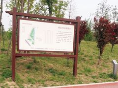 -西吴河科普公园