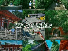 -灵谷景区