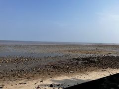 -北海金海湾红树林生态旅游区