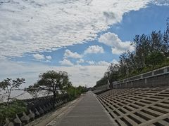 -上海滨江森林公园