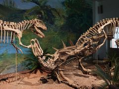 -自贡恐龙博物馆