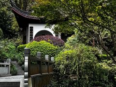 -十八棵（老龙井）御茶园(老龙井店)