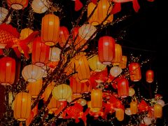 -龙湖星悦荟(颐和店)