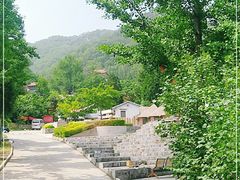 -遵化市禅林寺古银杏风景园