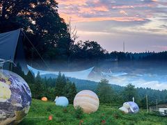 -武陵山森林公园