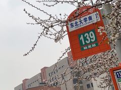 -东北大学(南湖校区)