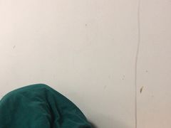 -北戴河集发农业梦想王国