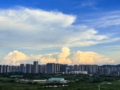 -洋湖国家湿地公园