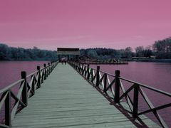 -溱湖国家湿地公园