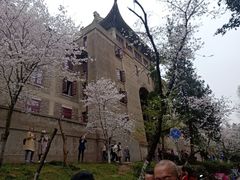 -武汉大学-樱园