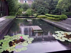 -同里湖度假村(二期店)