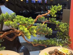 -圆顶阁西餐厅(郑州索菲特国际饭店 )