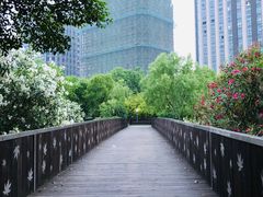 -南翔镇银翔湖公园