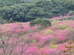 -福清灵石山国家森林公园